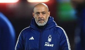 TA：森林上财年税前利润1010万英镑，低买高卖策略成效显著