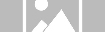 福克斯：哈珀的终结能力堪比欧文 我在这方面也要向他学习