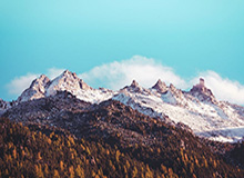 星空体育官网-江苏男篮啦啦队社媒分享舞蹈：1月29来不来南通看比赛呢～