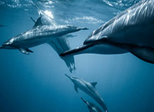 星空体育平台-厦马有选手因违规递水遭处罚、因吸烟被禁赛